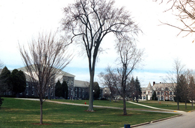 middlebury college Vermont 