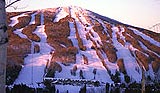 mount snow area foliage