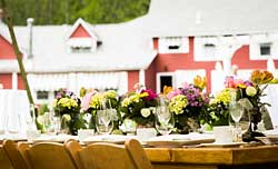 Vermont Weddings