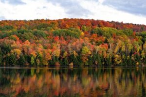 VT Fall foliage scene