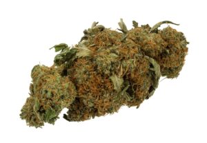 Cannabis - Marijuana Bud
